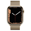 ساعت هوشمند اپل سری 7 مدل Stainless Steel Case 45mm